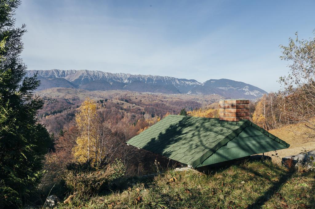 Drumul Carului Villa Моечу-де-Жос Номер фото